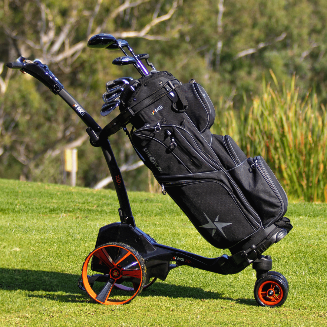 MGI ZIP X3